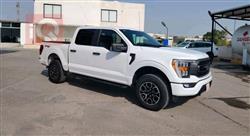 فۆرد F-150